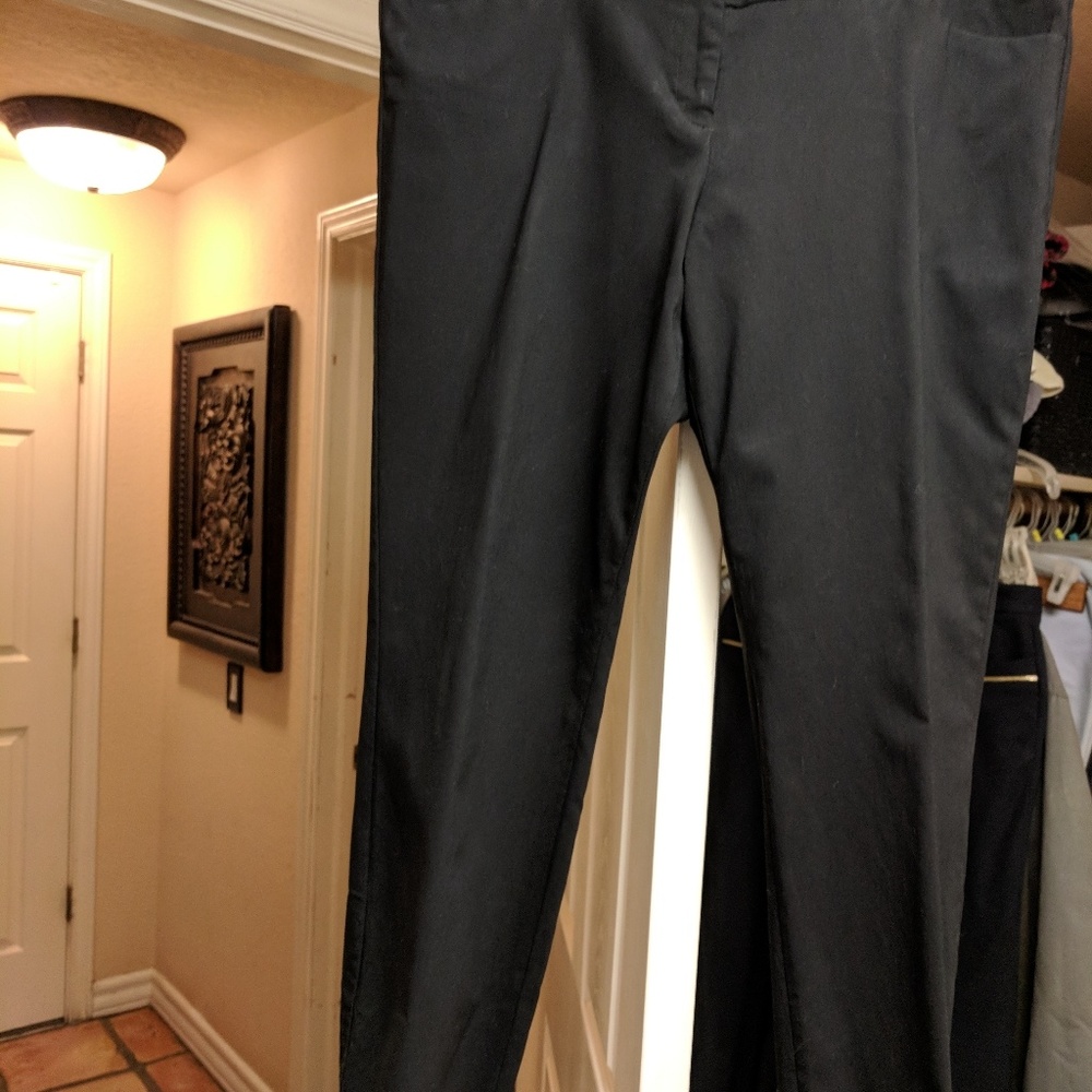 The Limited flat front ankle pants, Sz. 14
